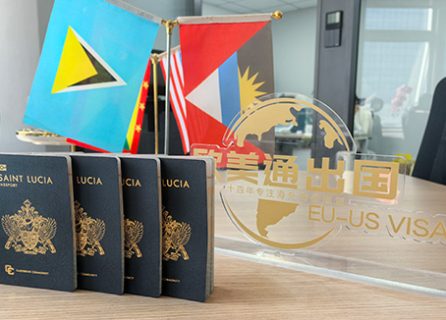 恭喜L先生2025開年全家獲批圣盧西亞護(hù)照